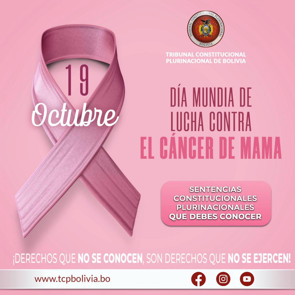 En este momento estás viendo DÍA MUNDIAL DE LUCHA CONTRA EL CÁNCER DE MAMA, SENTENCIAS CONSTITUCIONALES PLURINACIONALES