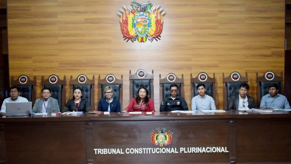 En este momento estás viendo UNIVERSITARIOS DE LA UPEA DE EL ALTO Y SAD ACHACACHI PARTICIPARON EN EL TALLER “FUNCIONES, COMPETENCIAS Y ATRIBUCIONES DEL TCP”