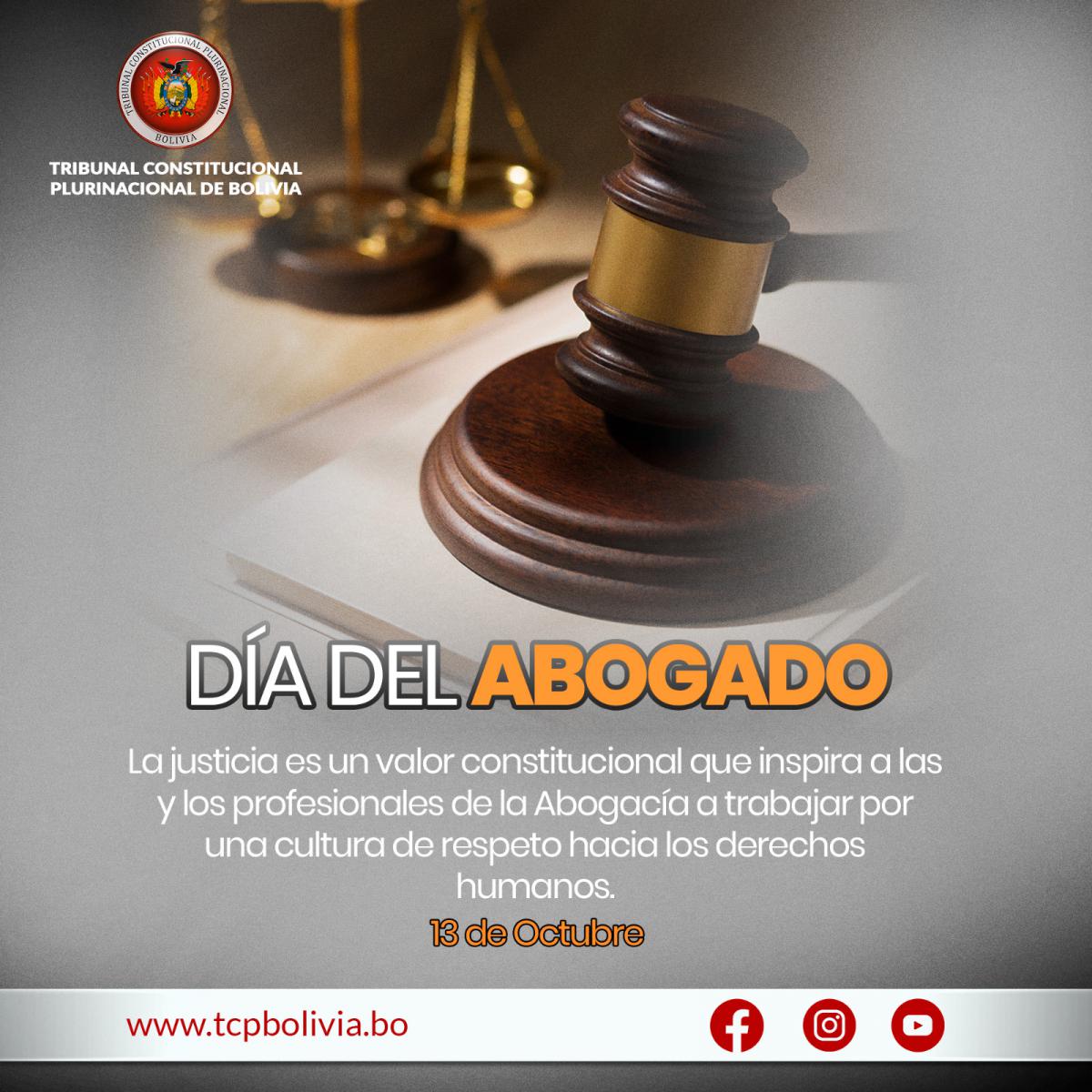 En este momento estás viendo SALUTACIÓN DEL TRIBUNAL CONSTITUCIONAL PLURINACIONAL DE BOLIVIA