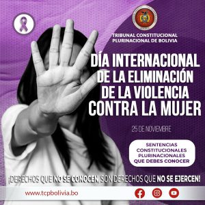 Lee más sobre el artículo DÍA INTERNACIONAL DE LA ELIMINACIÓN DE LA VIOLENCIA, SENTENCIAS CONSTITUCIONALES PLURINACIONALES