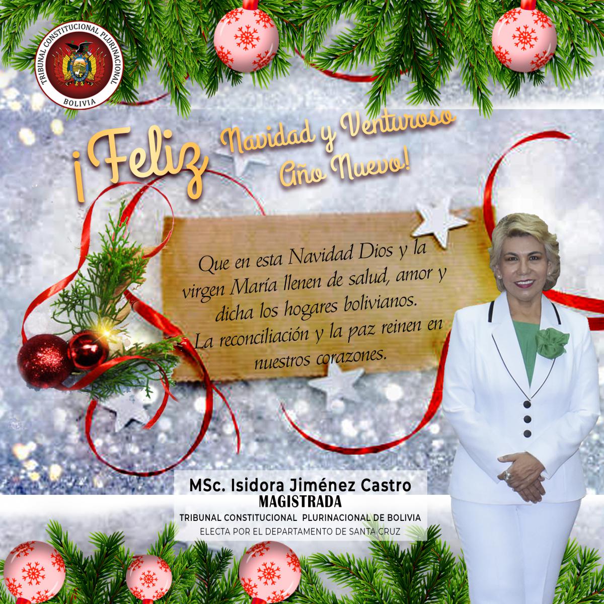 Lee más sobre el artículo ¡FELIZ NAVIDAD!