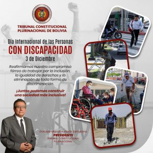 Lee más sobre el artículo DÍA INTERNACIONAL DE LAS PERSONAS CON DISCAPACIDAD