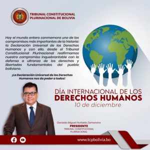Lee más sobre el artículo DÍA INTERNACIONAL DE LOS DERECHOS HUMANOS