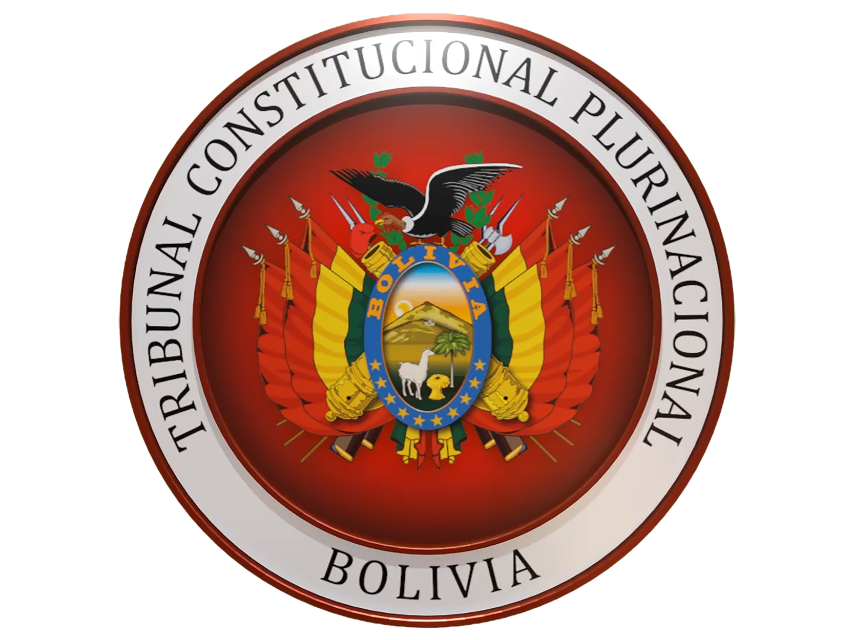 Biblioteca del Tribunal Constitucional Plurinacional