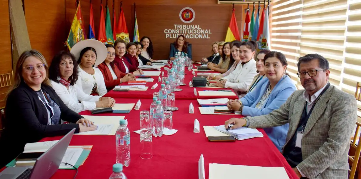 En este momento estás viendo INSTALAN SESIÓN DEL COMITÉ DE GÉNERO EN EL TRIBUNAL CONSTITUCIONAL PLURINACIONAL