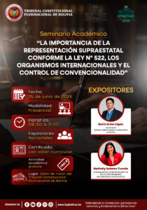 Lee más sobre el artículo Seminario Académico: “La importancia de la representación supraestatal conforme la Ley N.° 522, los organismos internacionales y el control de convencionalidad”