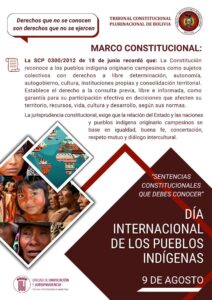 Lee más sobre el artículo Día Internacional de los Pueblos Indígenas
